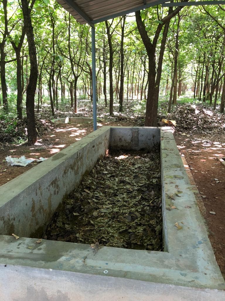 Vermicomposting