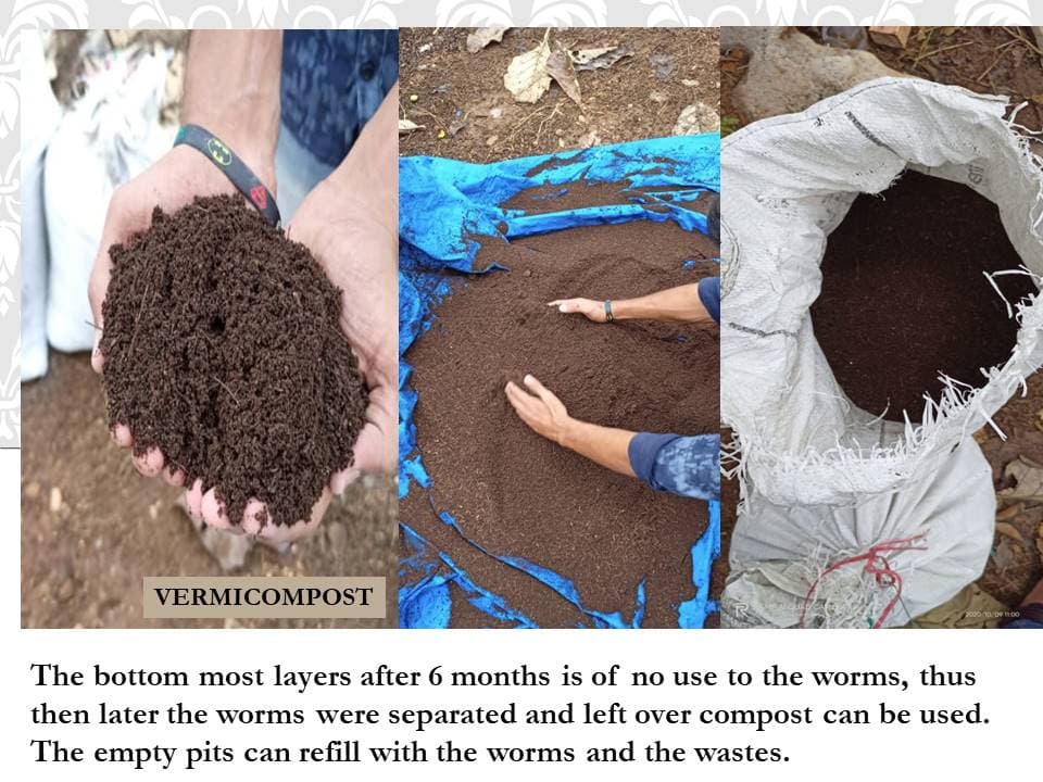 Vermicomposting