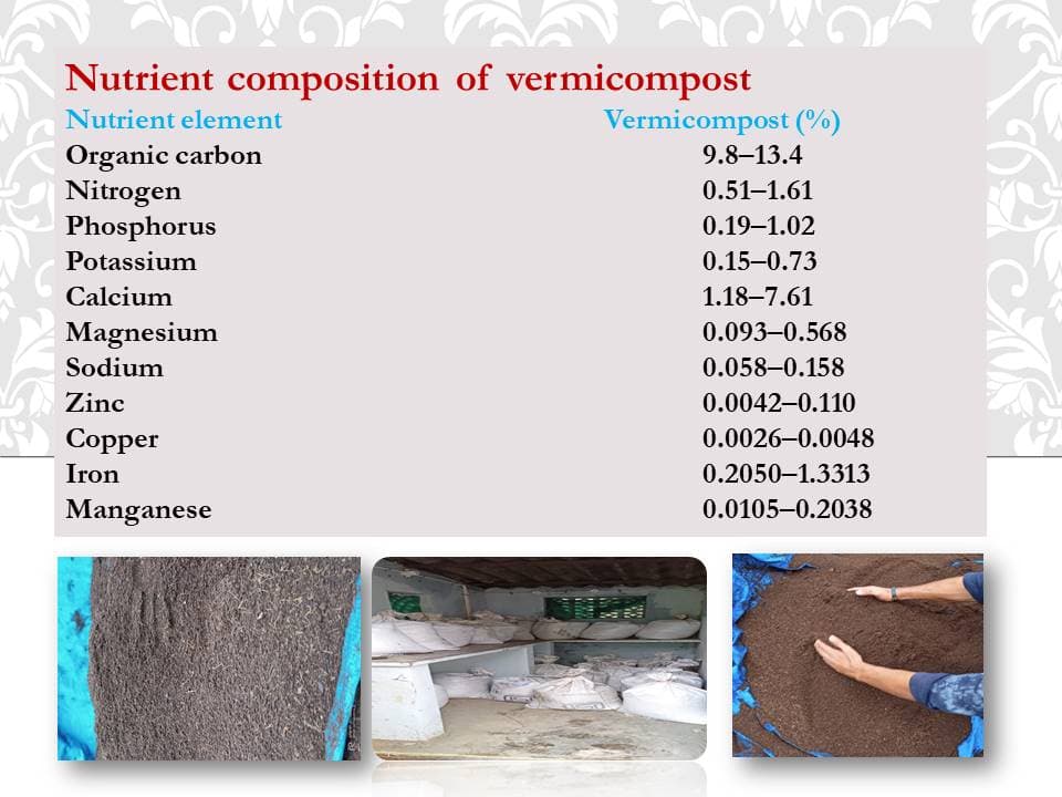 Vermicomposting