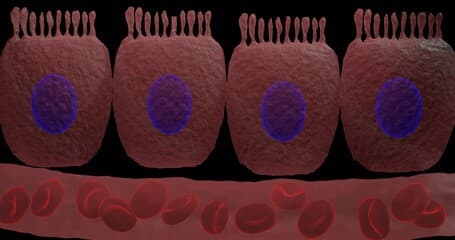 Metabolic Disorders